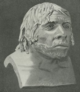 El Hombre de Neandertal de La Chapelle-aux-Saints de English School