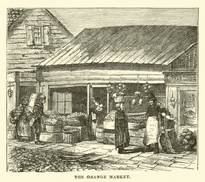 El mercado de naranjas