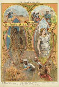 Las parábolas de Cristo: La parábola de la cizaña de English School