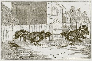 La perdiz y los gallos (grabado) de English School