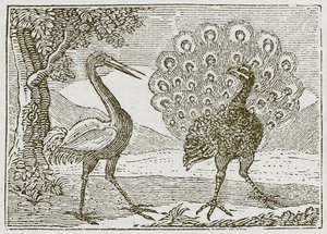 El pavo real y la grulla (grabado) de English School