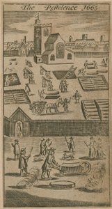 La Peste 1665 de English School