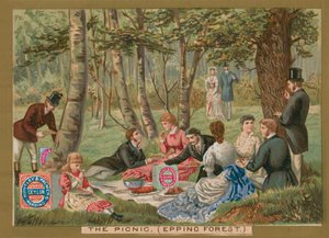El picnic, bosque de Epping