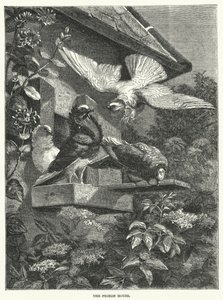La Casa de las Palomas (grabado) de English School
