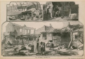 Las Potteries, Notting Hill