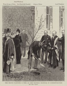 El príncipe plantando un árbol en el Hospital Victoria en conmemoración de su visita