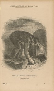 Los cazadores de ratas de las alcantarillas
