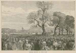 La Manifestación por la Reforma en Hyde Park, 6 de mayo de 1867 de English School