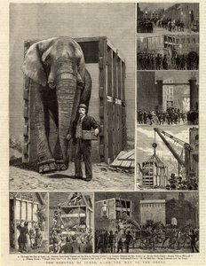 La Remoción de Jumbo de English School