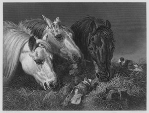 La comida escasa, de la imagen en la Galería Vernon de English School