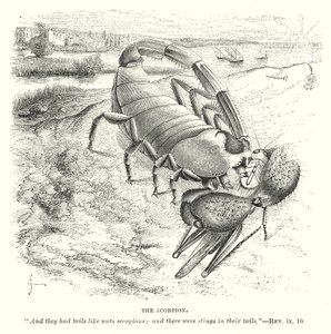 El Escorpión (grabado) de English School