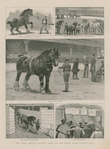 El espectáculo de la Shire Horse Society en el Royal Agricultural Hall de English School