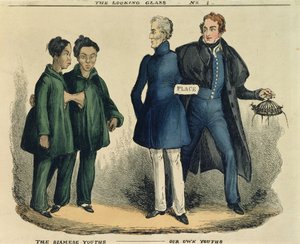 Los Jóvenes Siameses - Nuestros Propios Jóvenes, caricatura satírica de The Looking Glass de English School