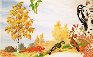 El abedul plateado y los animales y plantas que podrías encontrar a su alrededor
