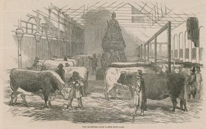 El patio de la exposición de ganado del Smithfield Club de English School