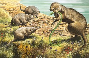 El cazador de serpientes, ilustración de "El país de las maravillas de la naturaleza".