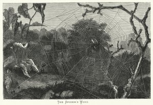 El trabajo de la araña