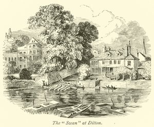 El Cisne en Ditton de English School