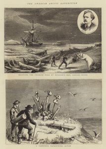 La Expedición Ártica Sueca de English School