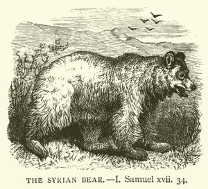 El Oso Sirio, I, Samuel, xvii, 34