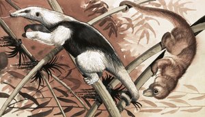 El Tamandua