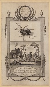 La tarántula, con el método de curar a los picados por ella, que se efectúa con música y baile de English School