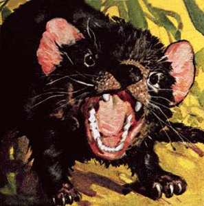 El demonio de Tasmania