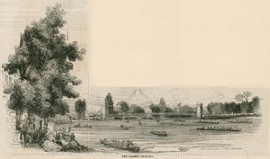 La Regata del Támesis