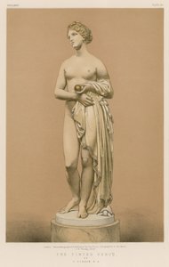 La Venus Tintada por J. Gibson, R.A. de English School