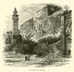 La Torre de Antonia