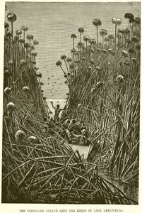 El viajero Giraud entre los juncos del lago Bangweolo de English School