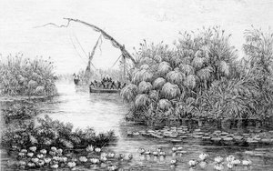 Los barcos en la barrera de hierba, de 