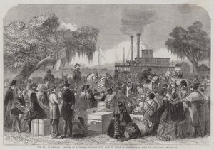 La guerra en América, llegada de un vapor federal con bandera de tregua a Madisonville, Lago Pontchartrain (grabado)