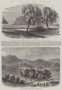 La guerra en Nueva Zelanda
