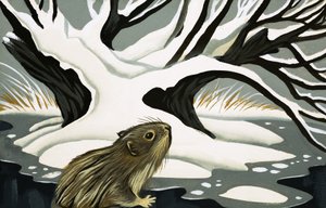 El ratón de agua de English School