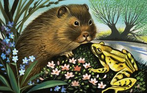 El ratón de agua de English School