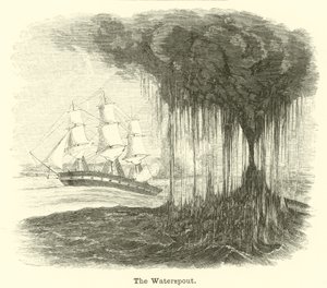 La tromba marina de English School