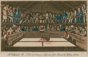 El Westminster Pit: Un enfrentamiento entre un perro y Jacco Macacco, el mono luchador de English School