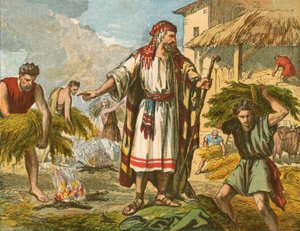 El trigo y la cizaña de English School