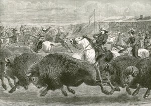 El Lejano Oeste en la Gran Exposición Americana - cazando bisontes y ciervos wapiti de English School