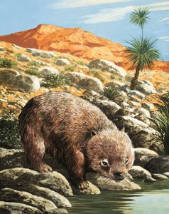 El Wombat