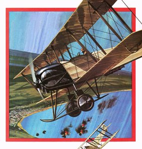 El guerrero de madera, o AVRO 504 de English School