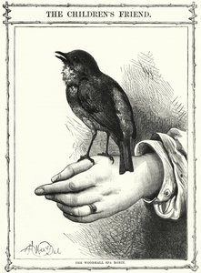 El petirrojo de Woodhall Spa (grabado)