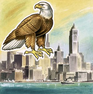 El águila calva, emblema de los Estados Unidos de English School