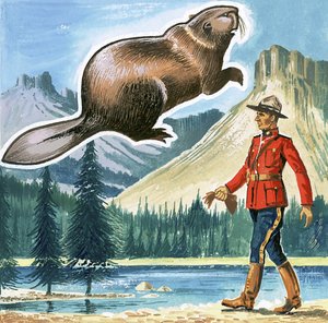 El castor, emblema de Canadá de English School