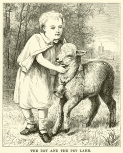 El niño y el cordero mascota de English School