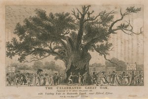 El Gran Roble célebre, se supone que tiene más de 1800 años