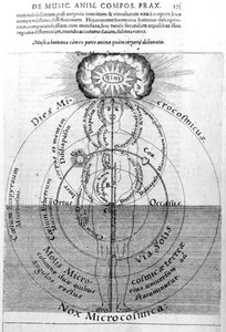 El día y la noche del Microcosmos, de 