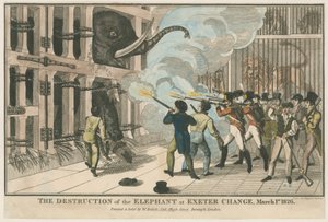 La destrucción del elefante en Exeter Change, 1 de marzo de 1826