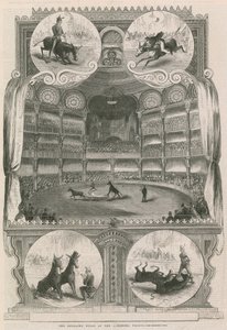 Las mulas educadas en el Palacio de la Alhambra, Londres de English School